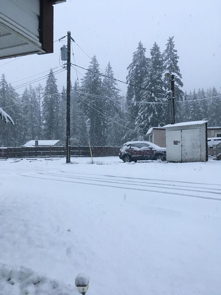 Snow in Nanaimo. Credit: Dey Matte