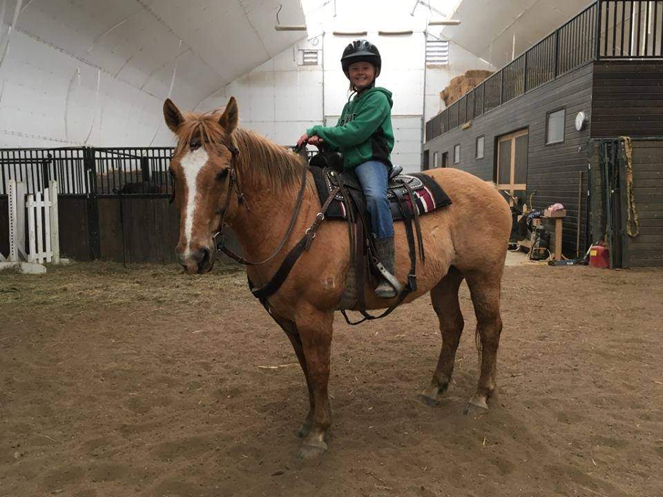 Peppy, one of the six horses that was stolen from the Cameron family’s central Alberta ranch near Winfield, Alta.