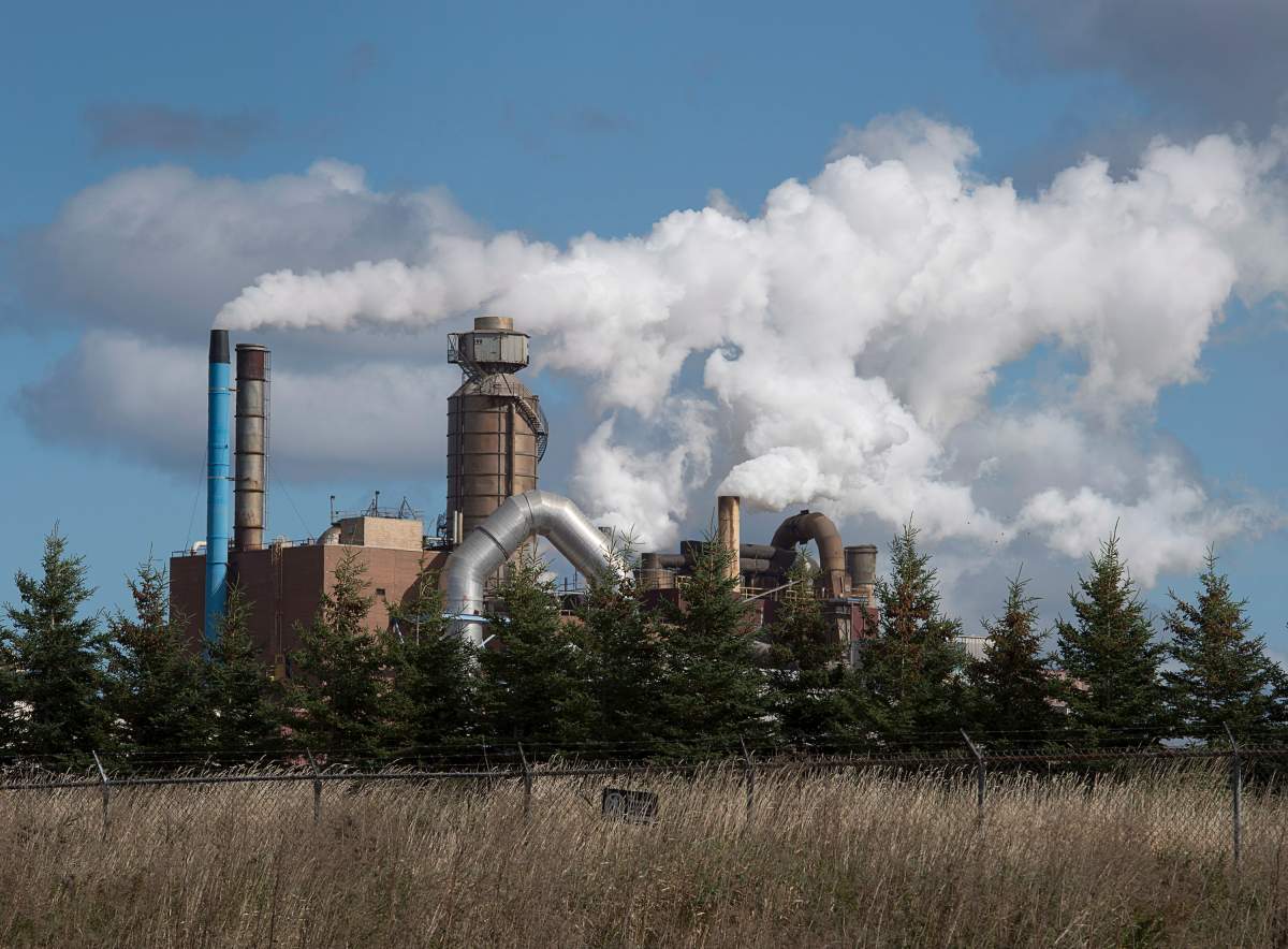 A fine has been issued to the Nanaimo pulp mill where a worker was fatally injured at the job.