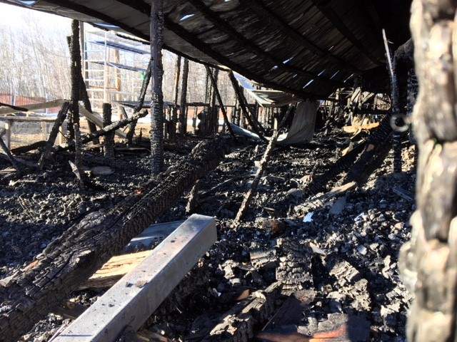 Several rescued raptors being cared for by the Alberta Society for Injured Birds of Prey were killed in a fire at the Strathcona Raptor Shelter, east of Edmonton, on Wednesday, Jan. 17, 2018.