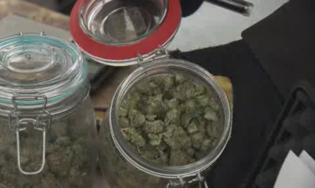Regulations for employees relating to legal marijuana have been released by the WRHA.