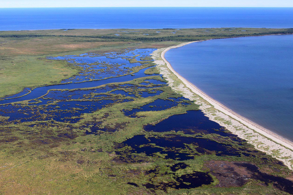 The Nature Conservancy of Canada says its received a donation of nine parcels of ecologically significant land in northeastern New Brunswick, some of which is shown in this undated handout photo. 