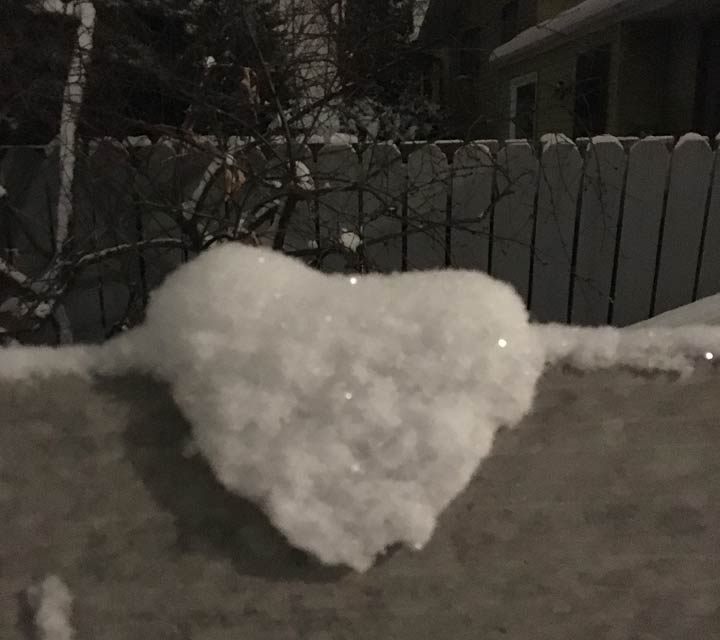 Mike Wells took the Feb. 14 Your Saskatchewan photo in Saskatoon.