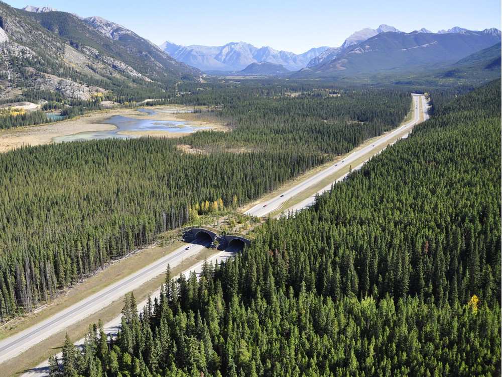File: Parks Canada.