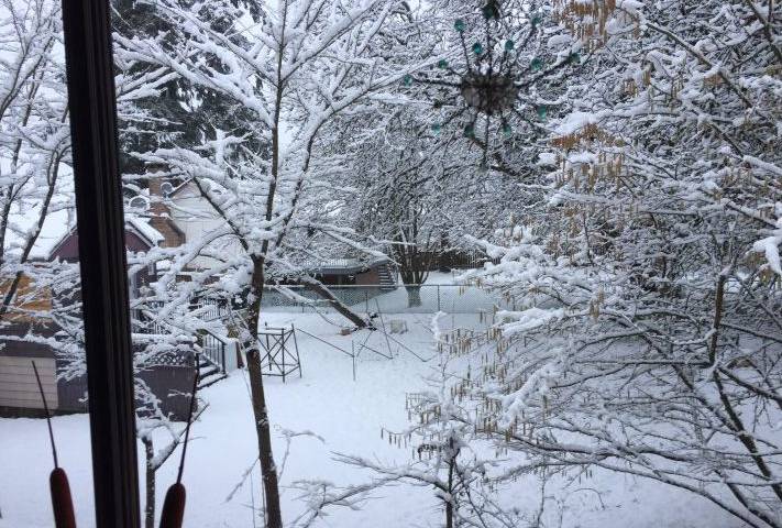Snow on the ground in Metro Vancouver has not been a common sight so far this year.