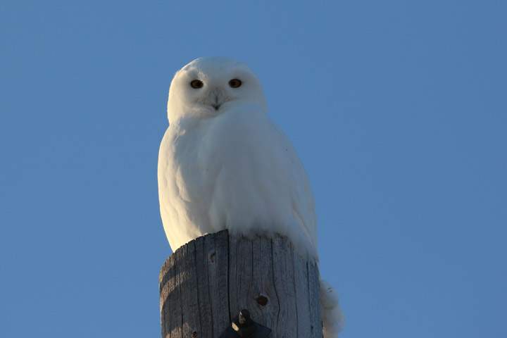 Brenda Gawluk took the March 23 Your Saskatchewan photo in Kandahar.