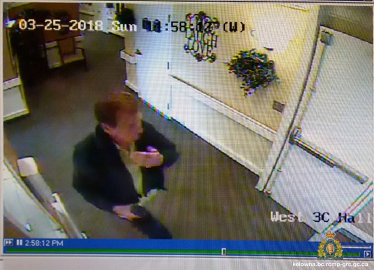 Volunteers converge on West Kelowna in search for missing 72-year-old man - image