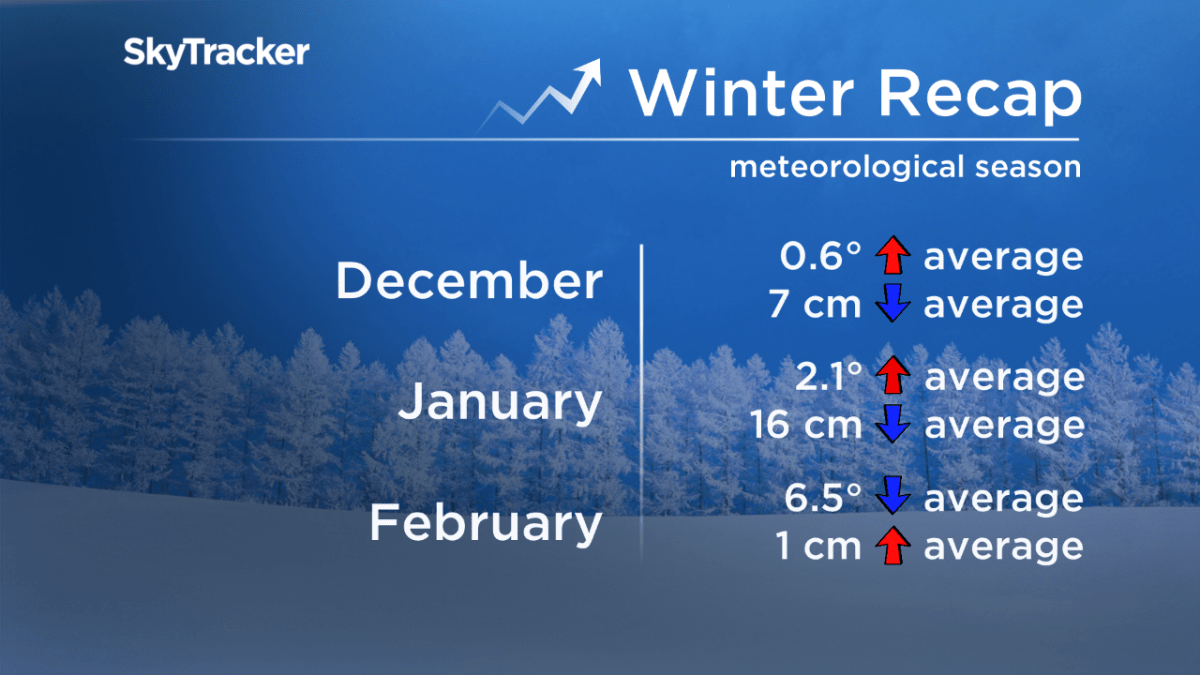 Regina had a snowy start to March and bitterly cold end - image