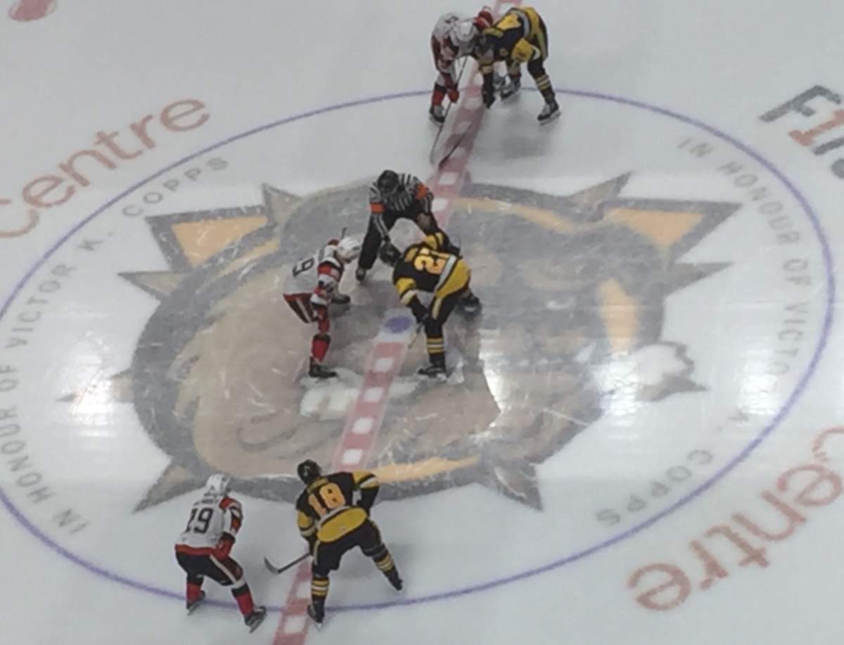 The Hamilton Bulldogs beat the Ottawa 67's 6-3 in the opening game of their first round OHL playoff series.