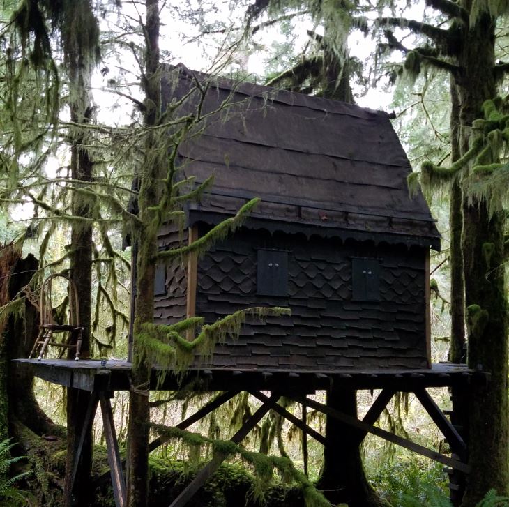 The FBI began an active investigation into who used the cabin using DNA and fingerprint evidence.