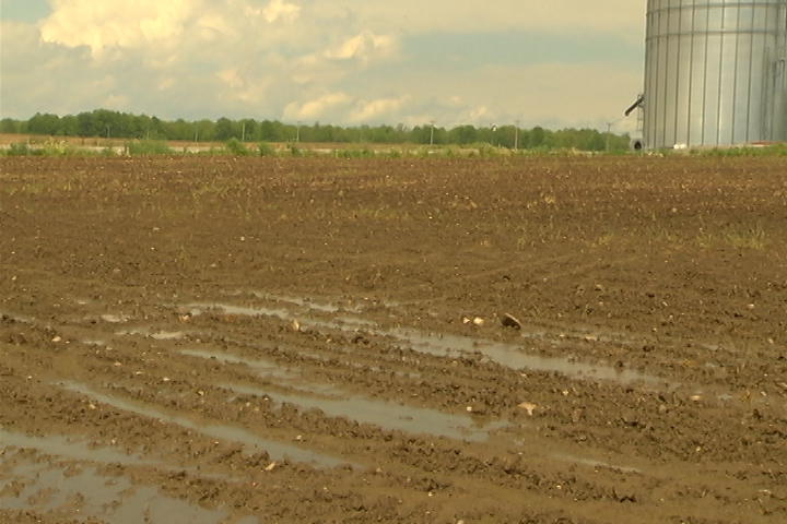 An expansion of Hamilton's urban boundary into 1,310 hectares of rural land to accomodate future residential growth, has been rejected by Hamilton city councillors.
