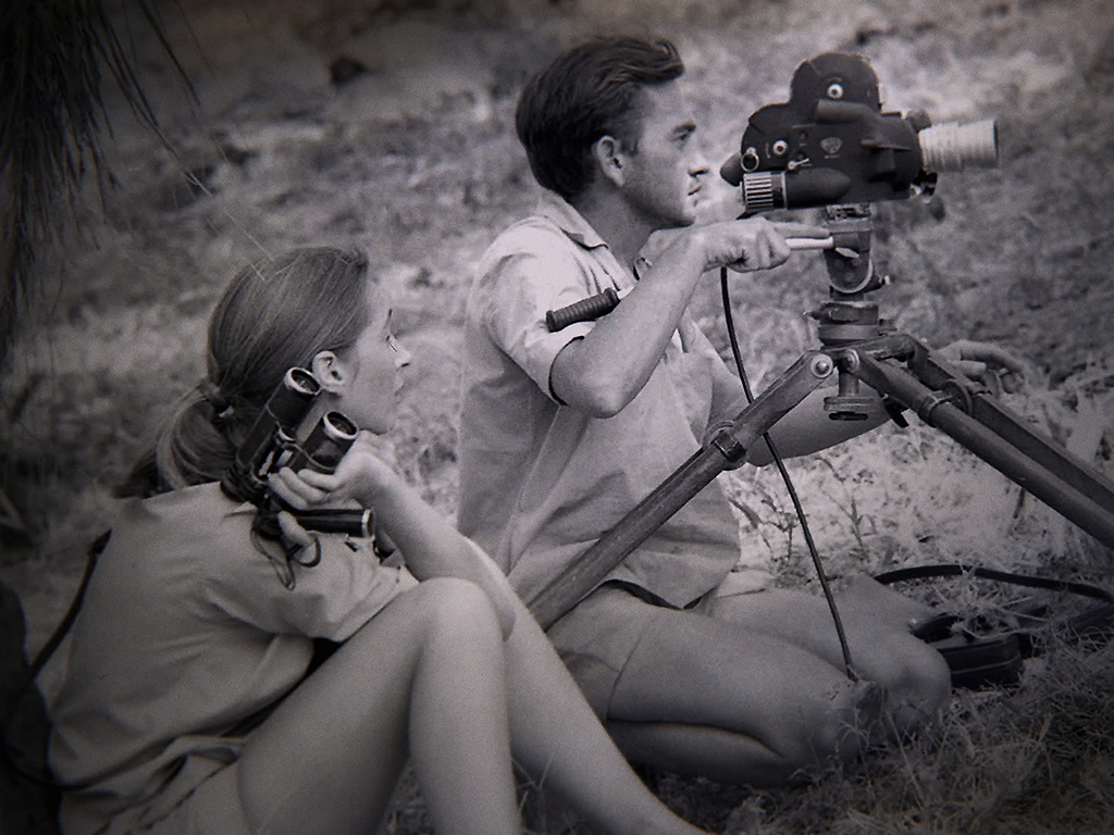 Goodall watches as Hugo van Lawick operates a film camera.