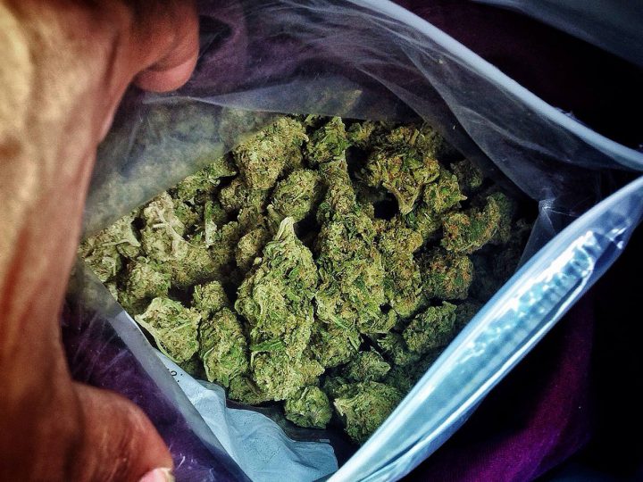 Best Buds Society, a local pot-shop, posted on their Facebook page on the evening of March 28 that police had raided their downtown shop.