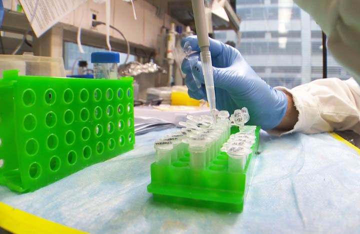Four Toronto students become published scientists after sending worms to space.