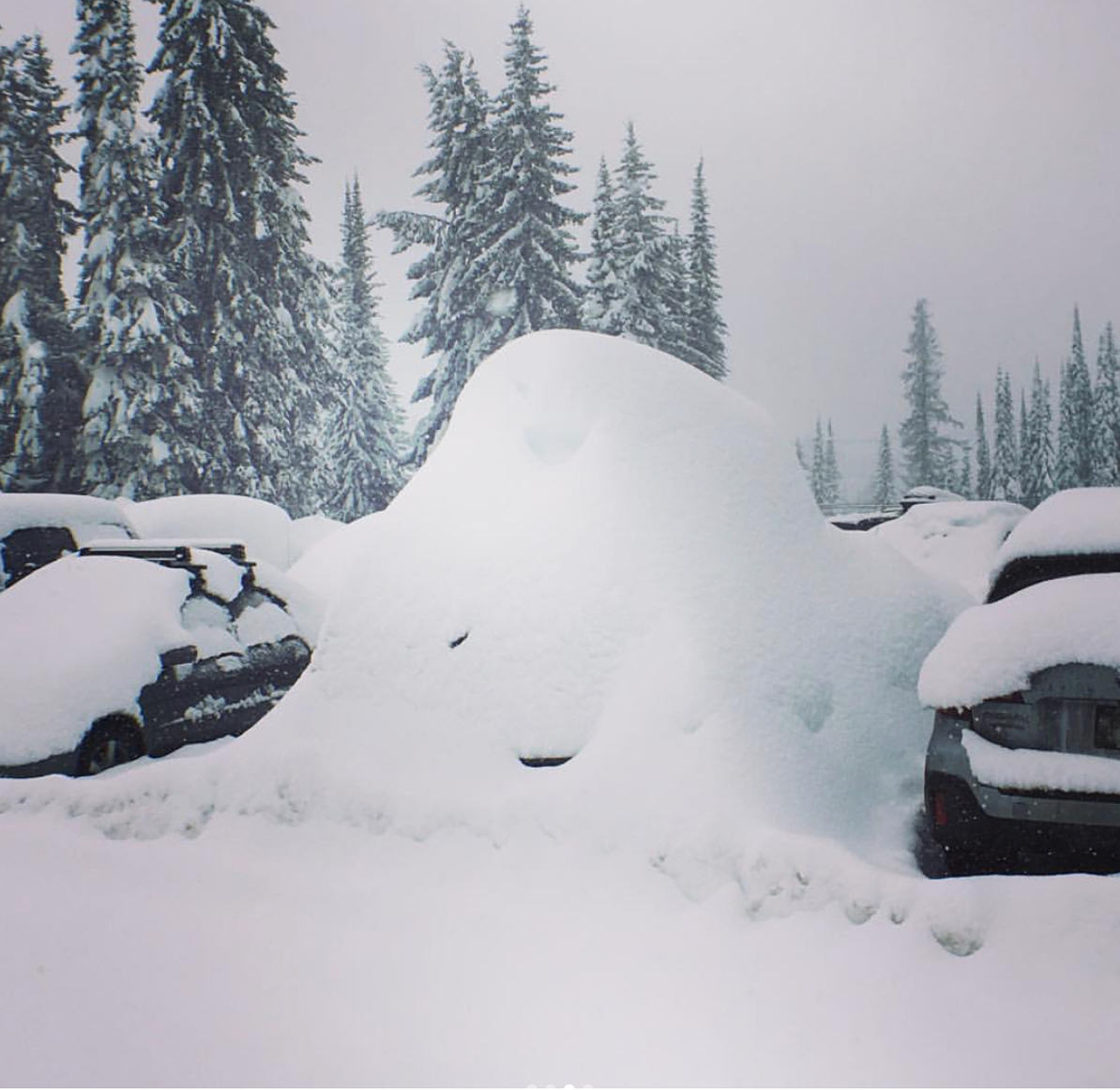 Silver Star celebrating snowiest season in nearly seven decades - image