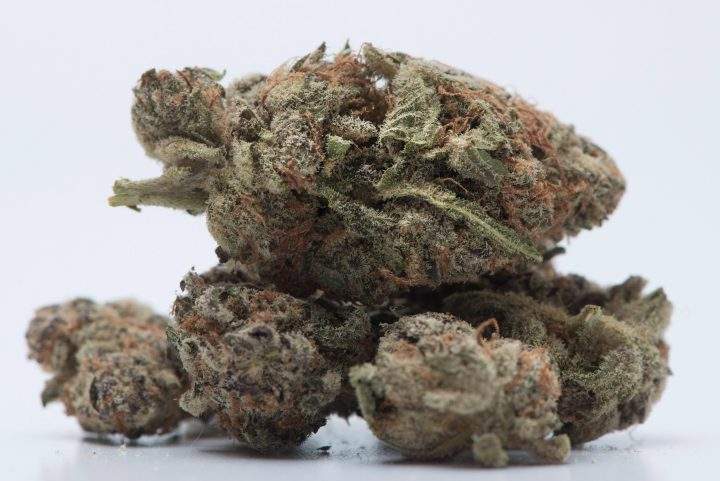 A file photo of marijuana. 