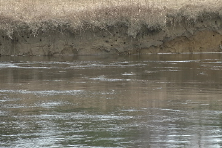 A flood warning has been downgraded to flood watch for the Kawartha Conservation region.