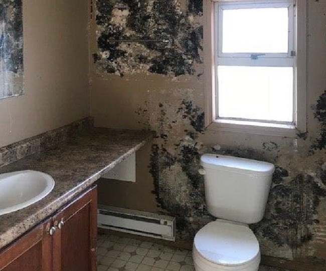 "As you walk in the smell gets you and it's like something was living on the walls just creeping over the walls," said Jason Jones of this rental bathroom.