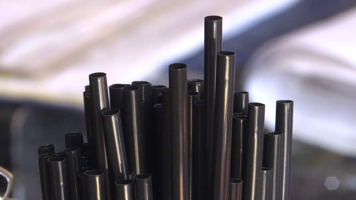 Plant-based straws replace plastic ones at Le Chien Noir restaurant.
