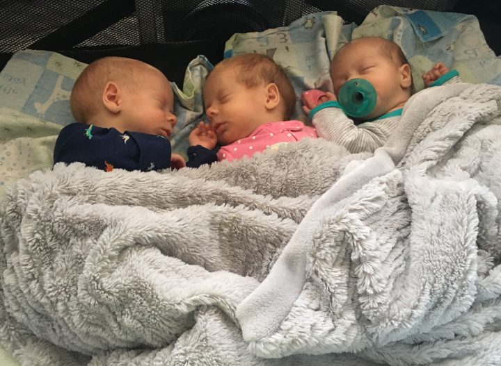 Lachlan, Graesan and Wriglee were born on March 18, 2018.