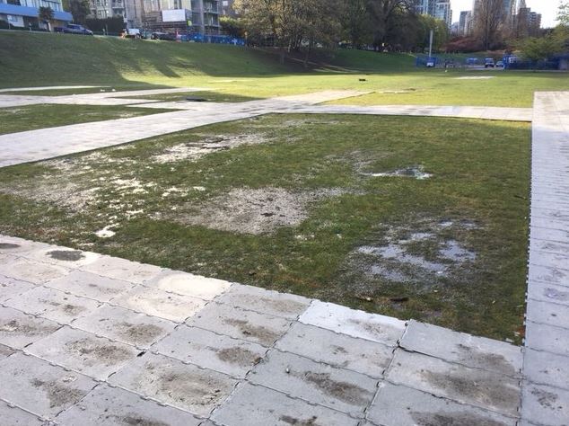 Sunset Park Field following 4/20 event in Vancouver. 