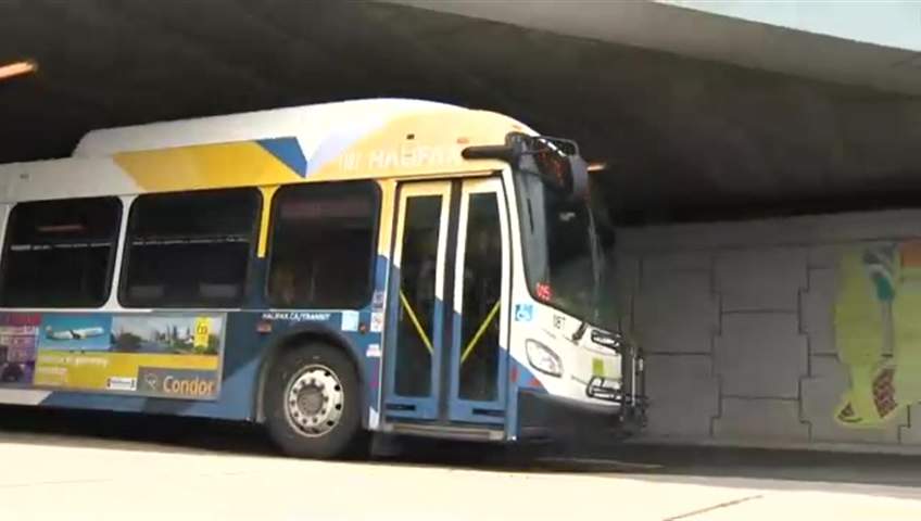 Halifax bus mechanic who allegedly created ‘poisoned work environment’ no longer works for HRM - image
