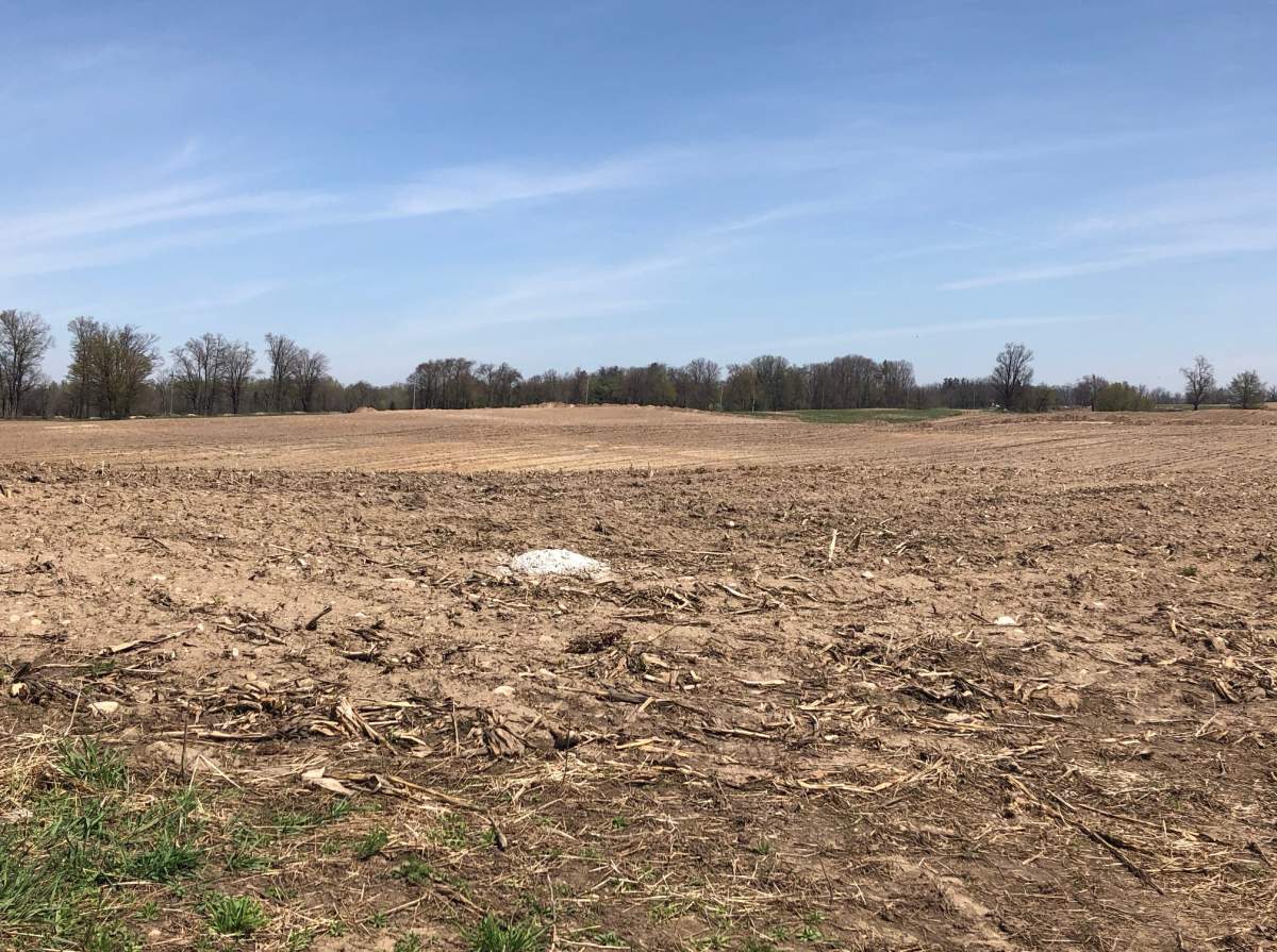 Xinyi Glass Canada Limited plans to build a massive facility on a piece of land at Wellington roads 124 and 32 in Guelph-Eramosa Township.