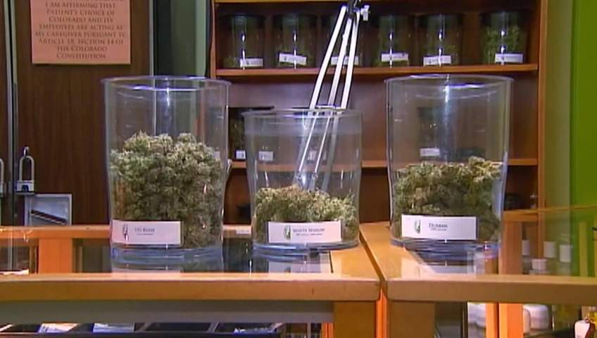 Bowls of marijuana at a pot shop.