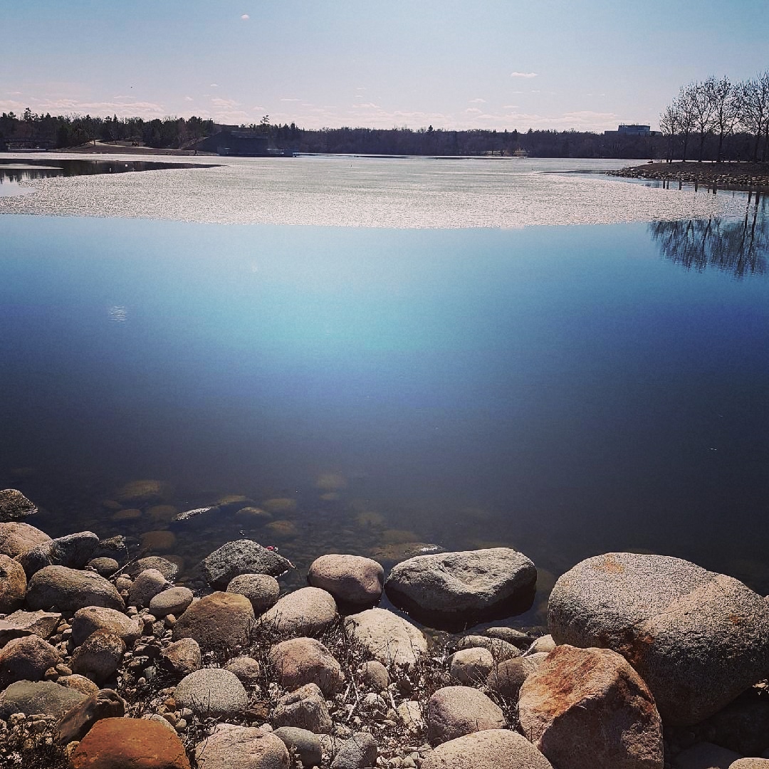 The Conexus Arts Centre announced a new rock music festival that is coming to Regina this summer that will ‘Shake the Lake’ at Wascana Park.