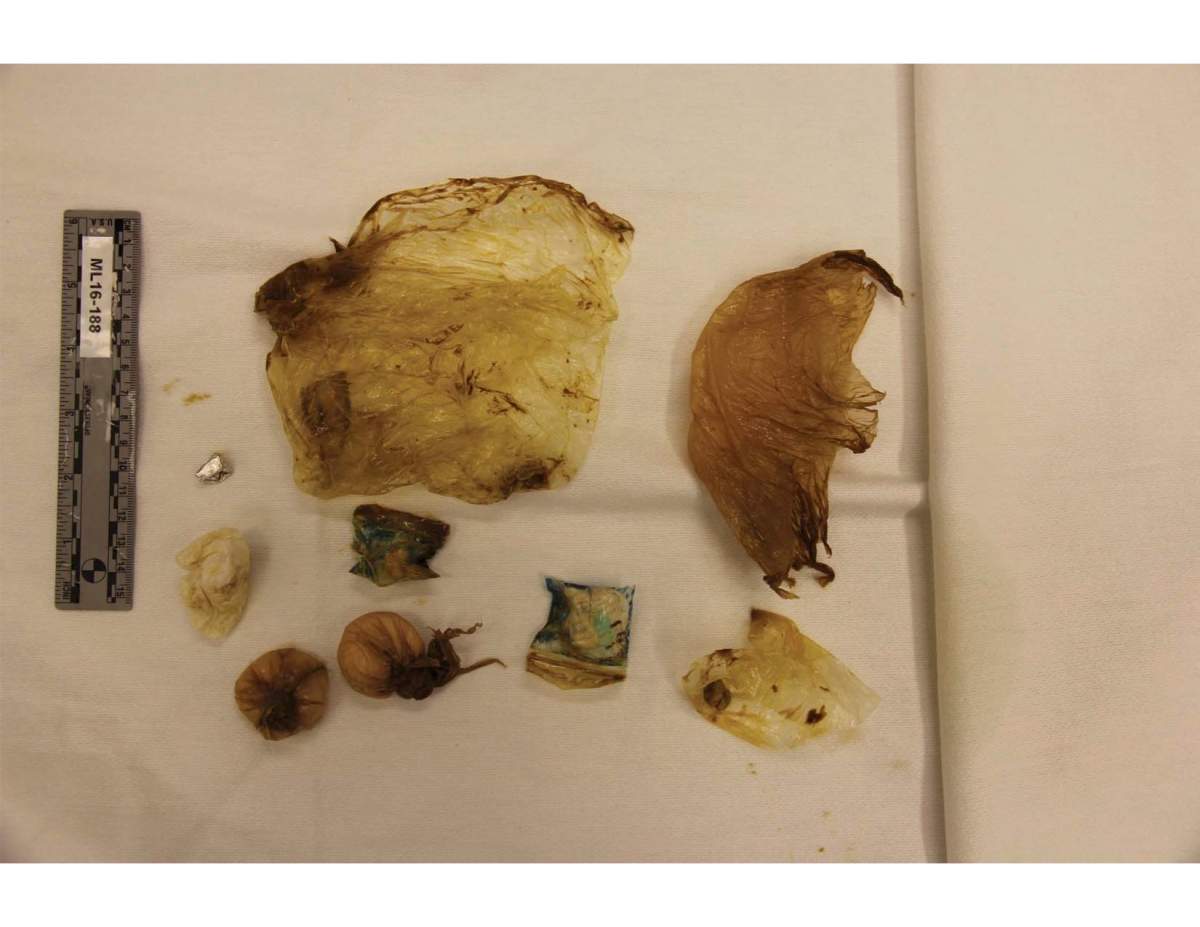 Coroner’s inquest hears packages of suspected drugs went missing during arrest of late inmate - image