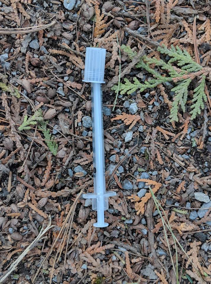 Woman speaks out after her friends 5-year-old daughter was pricked by a needle at Jackson Park.