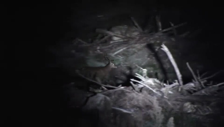 Manitoba is spending $1.7 million to provide new equipment to Manitoba Conservation officers. The province says the funding is needed to help officers with their work, including cracking down on illegal night hunting.