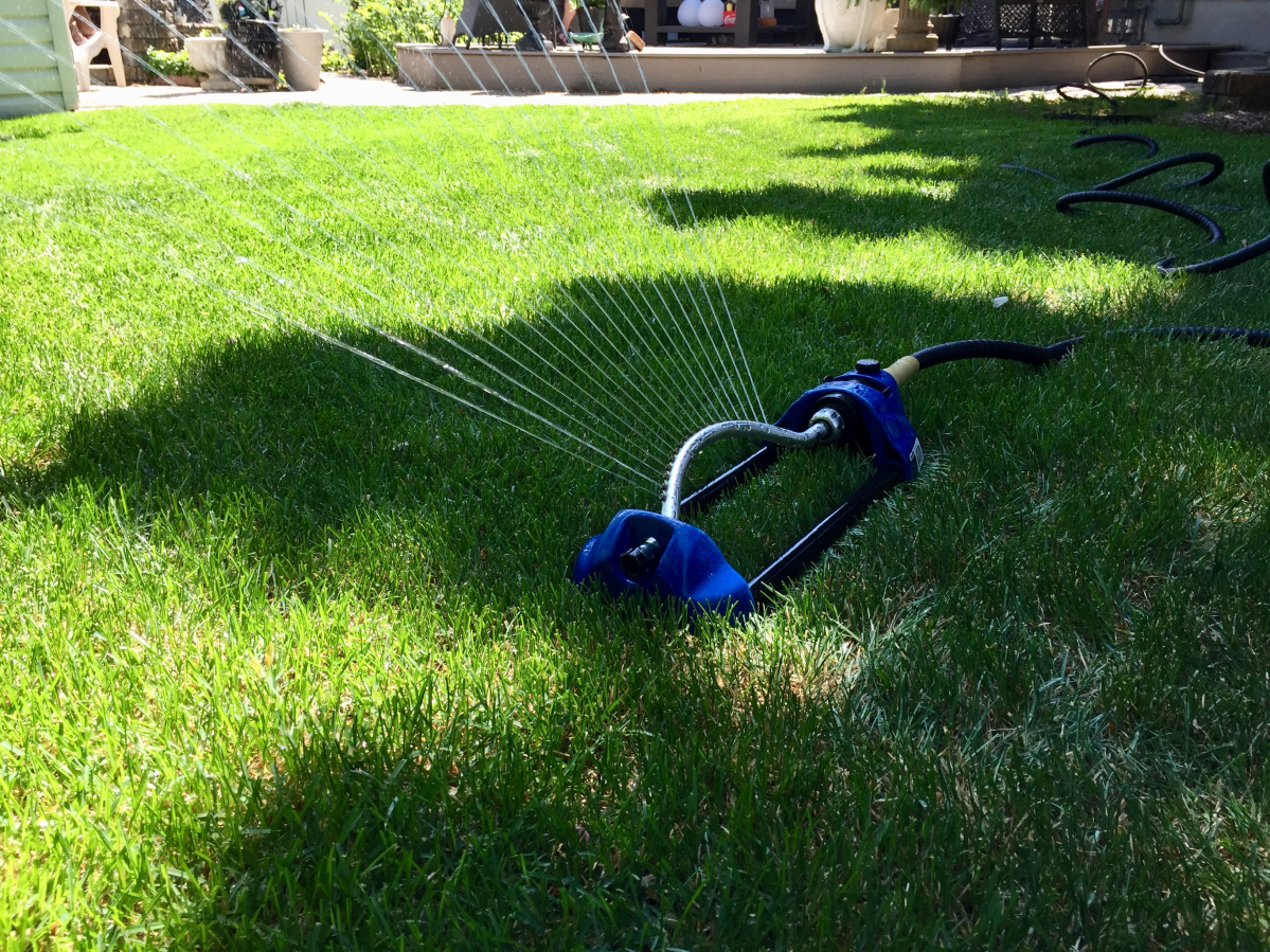 File: Sprinkler.
