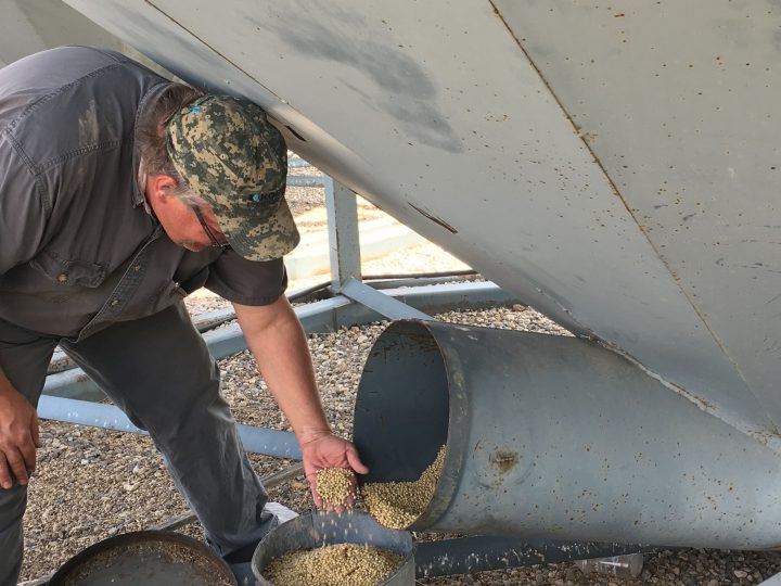 Tim Wickett took a financial hit this winter when railways didn’t have capacity to haul his contracted canola to port.