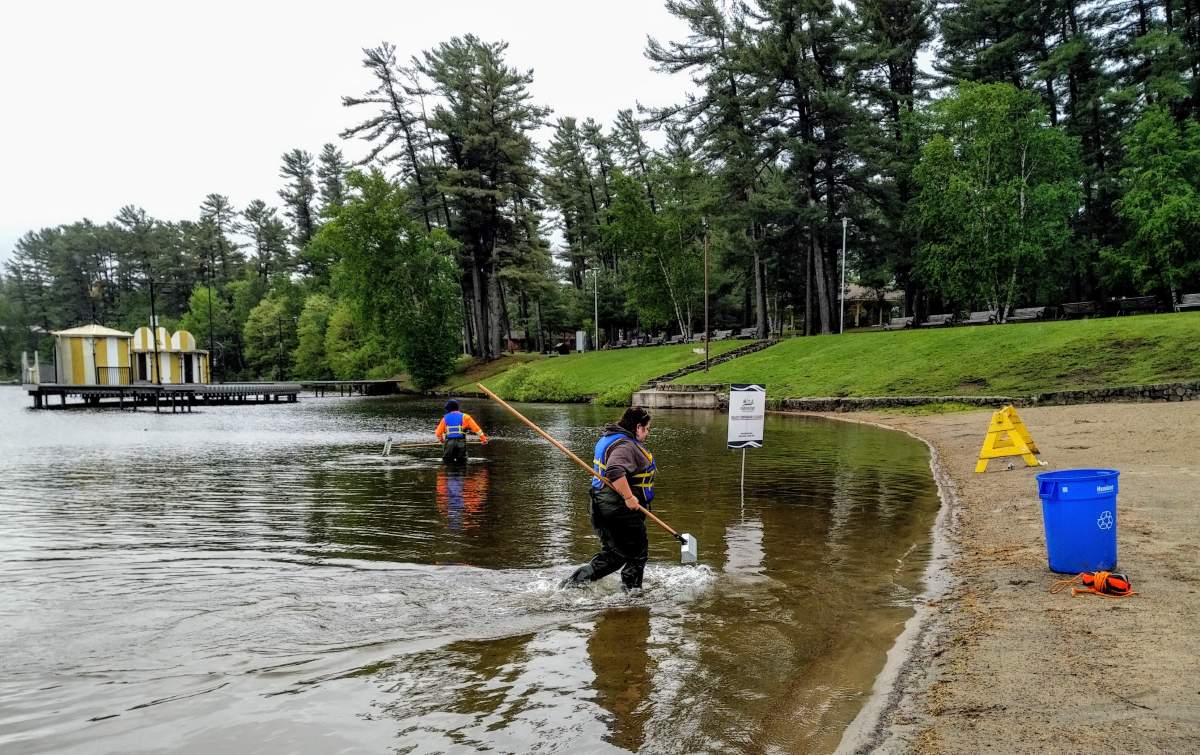 Staff from the town of Gravenhurst conduct enhanced sweeps to ensure the beach is free of hazardous materials.