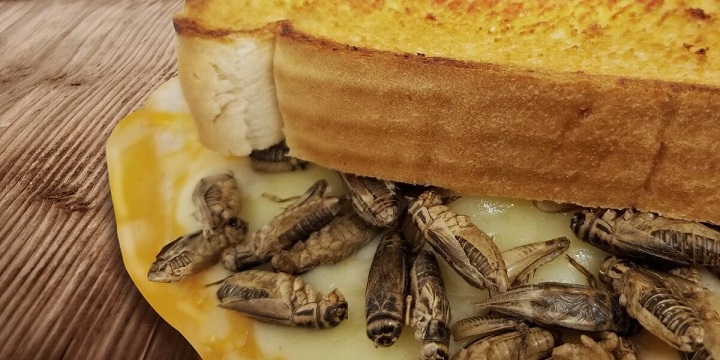 Calgary Stampede 2018: New food to hit the midway - image