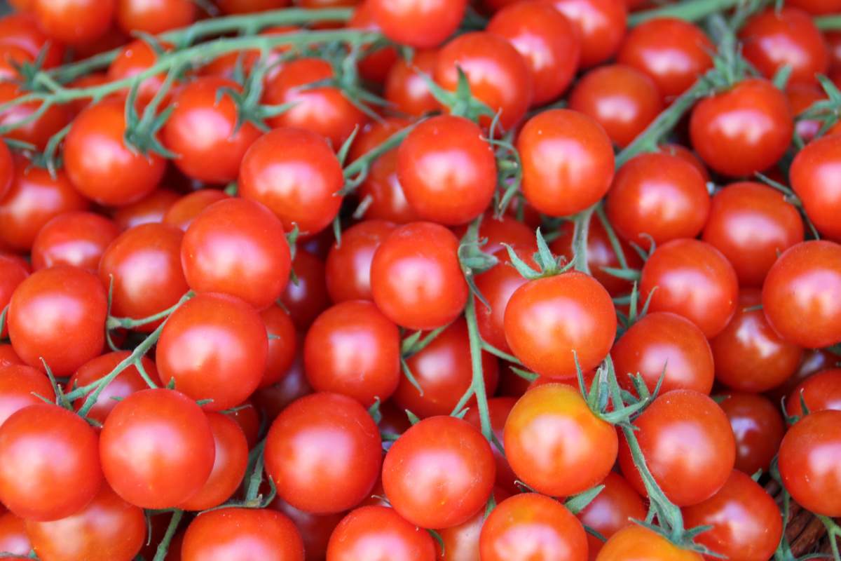 Carrots, beets and other root vegetables: Buying seasonally is one of the best ways to save money on vegetables.Beans: Buy them frozen when on sale to save money and avoid wastage. They’re a nutritious and convenient option when you need them.Tomatoes and pineapple: Try canned tomato sauces, pineapple, peaches and pears.