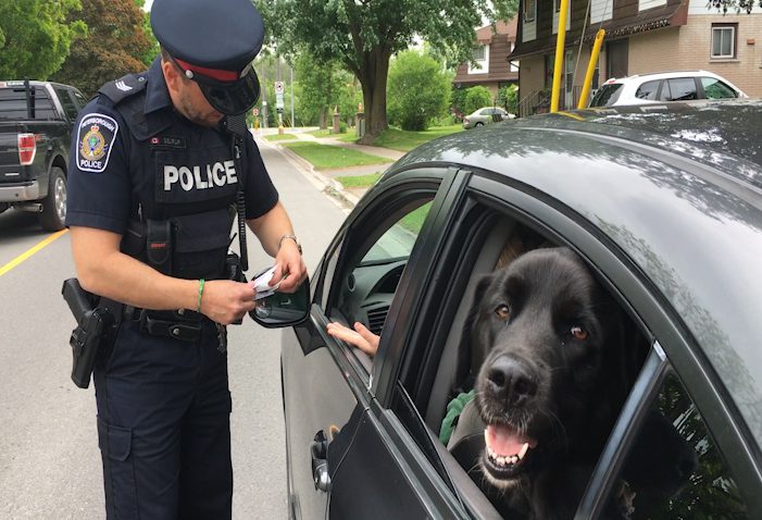 Peterborough Police Sgt. Peter Sejrup hands a motorist a ticket for travelling eight kilometres over the posted limit. 