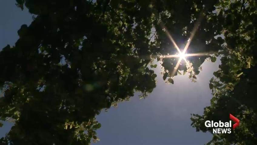 Environment Canada issued several heat warnings in Nova Scotia in July and August.