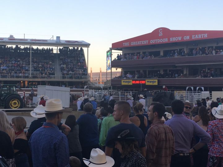 Calgary Stampede officials attend to an injured horse on July 11, 2018. The horse was later euthanized.