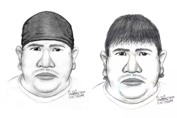 Police released this sketch of a possible suspect in the disappearance Thelma Krull in 2017.