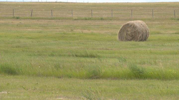 Saskatchewan Agriculture said moisture is especially needed in parts of the east-central and southern regions.