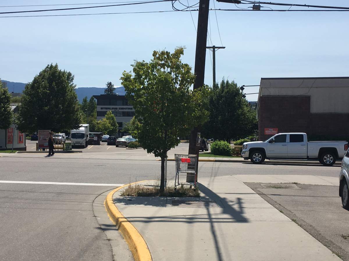 Vernon city council plans to ban shopping carts on all public property in the city. 