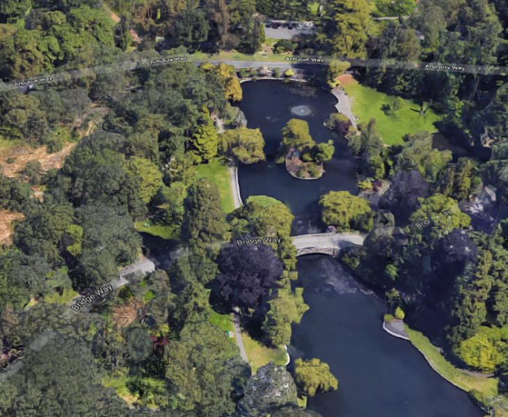 An aerial view of Beacon Hill Park in Victoria.