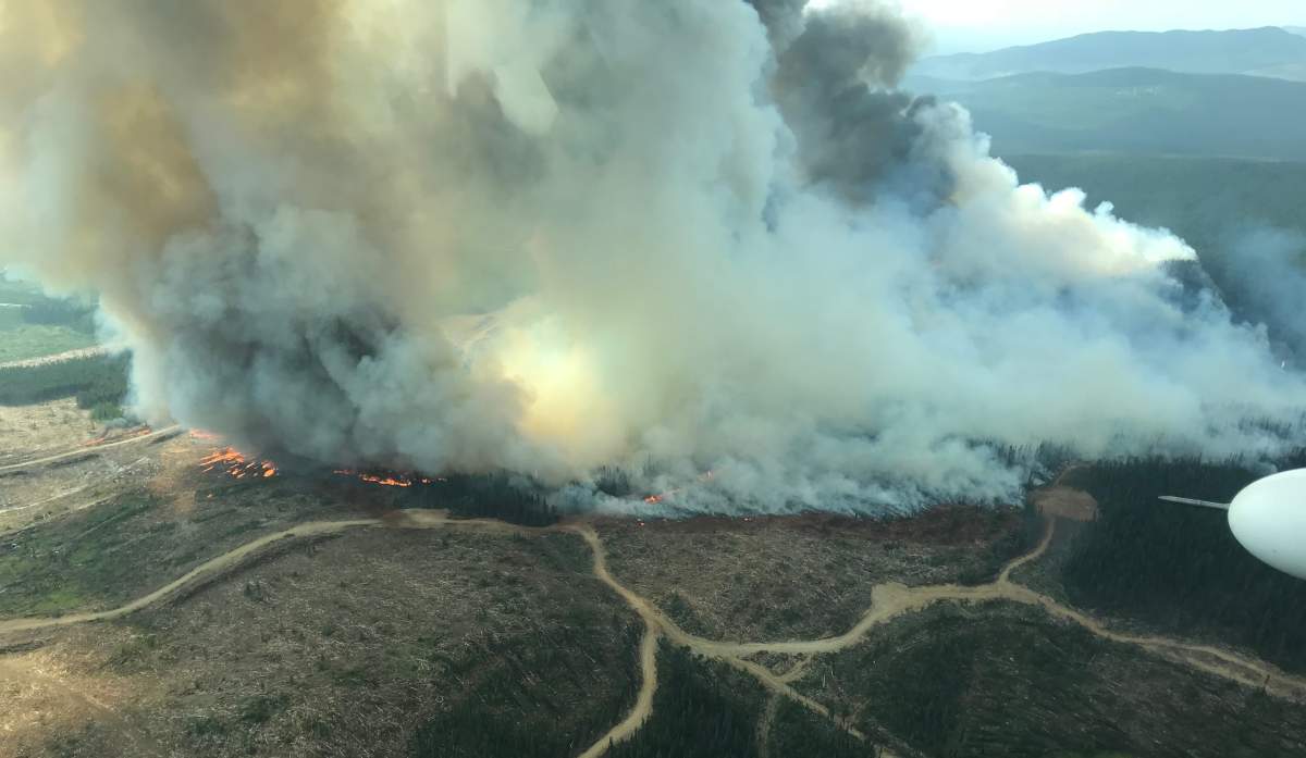 The Chutanli Lake wildfire. Courtesy of B.C. Wildfire Service.