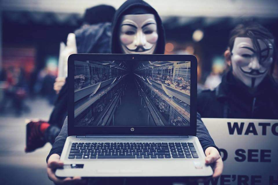 Cube of Truth, Anonymous for the Voiceless .