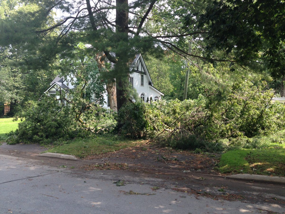Fredericton cleaning up after storm downs trees, causes power outages - image
