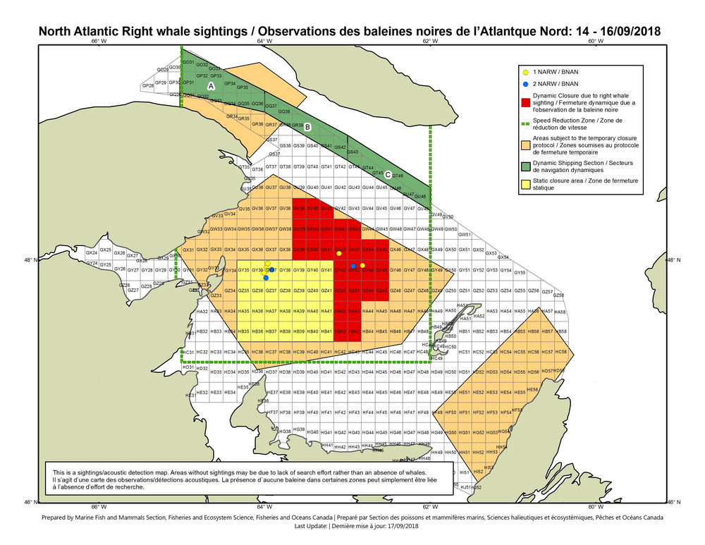 Fisheries department announces new fishery closures, openings in bid to protect Right Whales - image