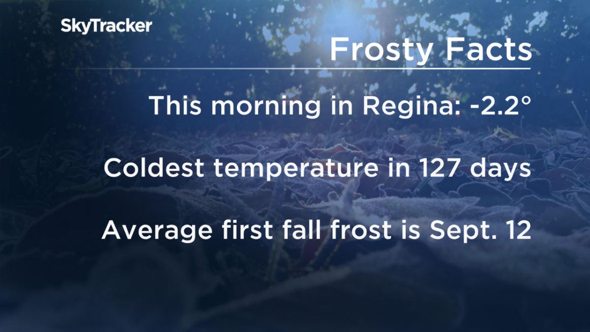 Frosty Wednesday morning across Saskatchewan, nine records broken - image
