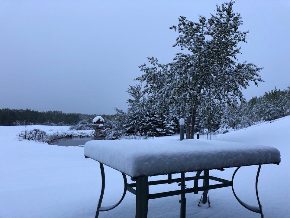 Snow in Sturgeon Heights, Alta. on Wednesday, September 12, 2018.
